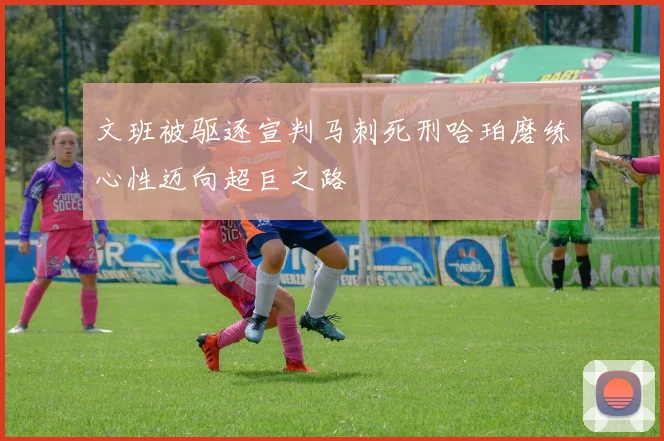 文班被驱逐宣判马刺死刑哈珀磨练心性迈向超巨之路