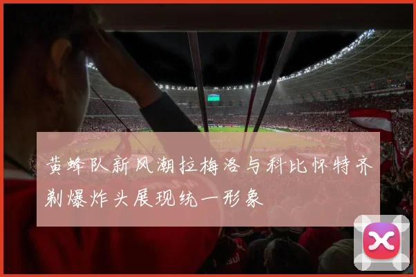 黄蜂队新风潮拉梅洛与科比怀特齐剃爆炸头展现统一形象